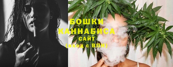 PSILOCYBIN Бронницы
