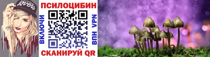 Галлюциногенные грибы Magic Shrooms  наркошоп  Ставрополь 